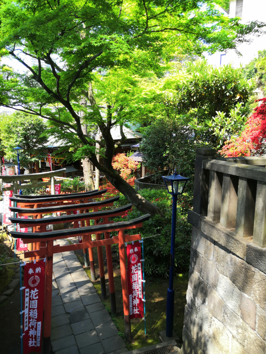 花園稲荷神社　東参道（朱鳥居）